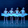 Pyotr Ilyich Tchaikovsky - Dance of small swans notas para el fortepiano