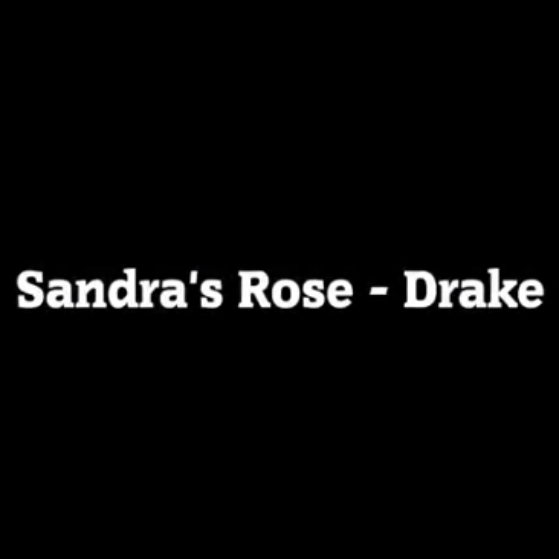 Drake - Sandra’s Rose notas para el fortepiano