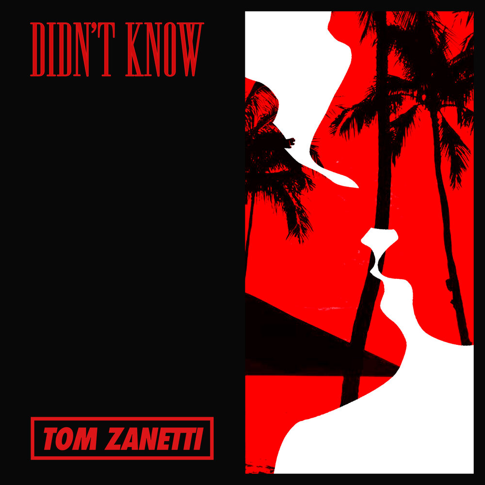 Tom Zanetti - Didn't Know acordes