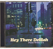 Plain White T's - Hey There Delilah notas para el fortepiano