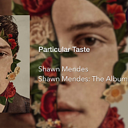 Shawn Mendes - Particular Taste notas para el fortepiano
