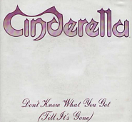 Cinderella - Don't Know What You Got (Till It's Gone) notas para el fortepiano