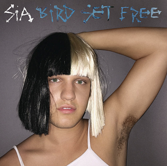 Sia - Bird Set Free notas para el fortepiano descargar para los