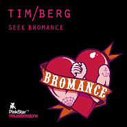 Tim Berg etc. - Seek Bromance notas para el fortepiano