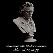 Ludwig van Beethoven - Sonata No. 16 in G Major, Op. 31, No. 1, part I. Allegro vivace notas para el fortepiano