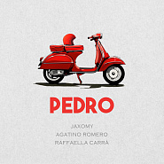 Raffaella Carra - Pedro (Jaxomy, Agatino Romero Remix) notas para el fortepiano