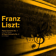 Franz Liszt - Piano Concerto No. 1 in E flat major, Allegro maestoso notas para el fortepiano