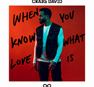 Craig David - When You Know What Love Is notas para el fortepiano