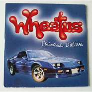 Wheatus - Teenage Dirtbag notas para el fortepiano