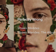 Shawn Mendes - Perfectly Wrong notas para el fortepiano