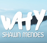 Shawn Mendes - Why notas para el fortepiano