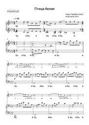 Notas, acordes Aida Garifullina - Птица белая