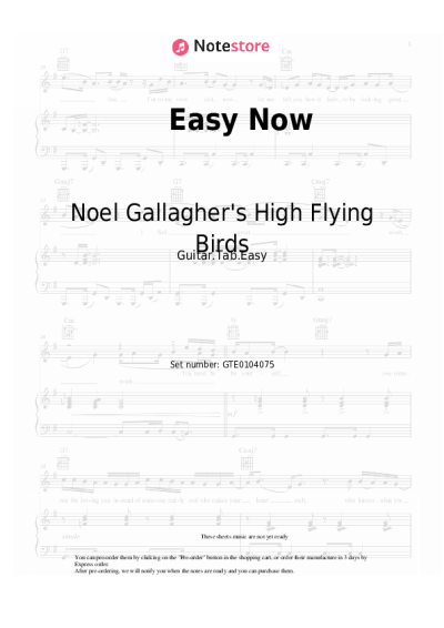 undefined Noel Gallagher's High Flying Birds - Easy Now