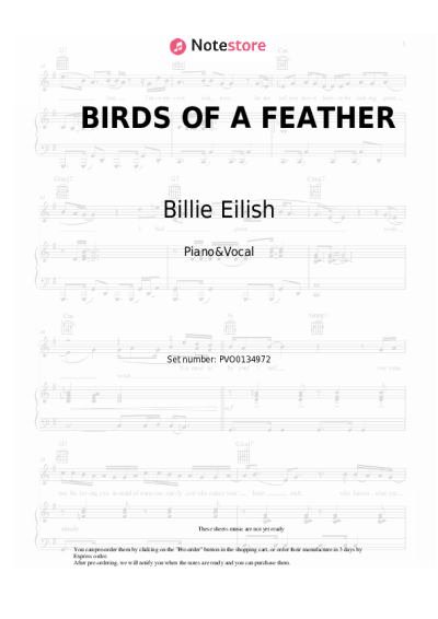 Notas, acordes Billie Eilish - BIRDS OF A FEATHER