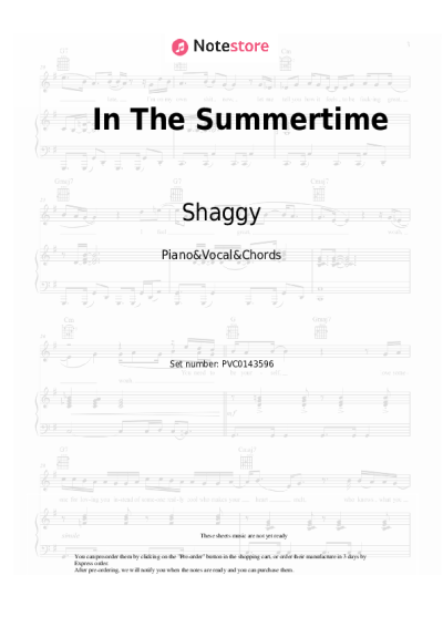 undefined Shaggy, Rayvon - In The Summertime